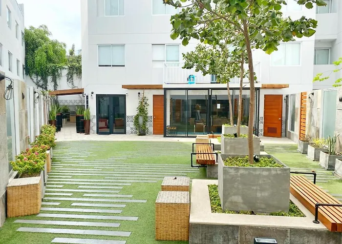 Osma By Wynwood House